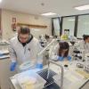 Galicia despunta en España en carreras científico-técnicas: ya son uno de cada 4 titulados